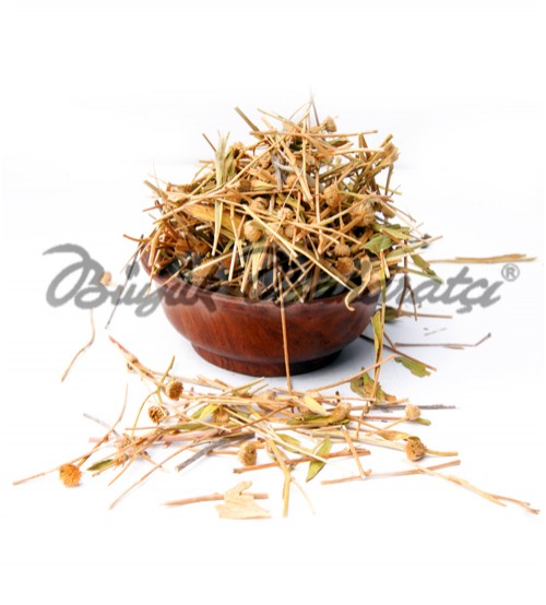 Nezle Otu 20 gr
